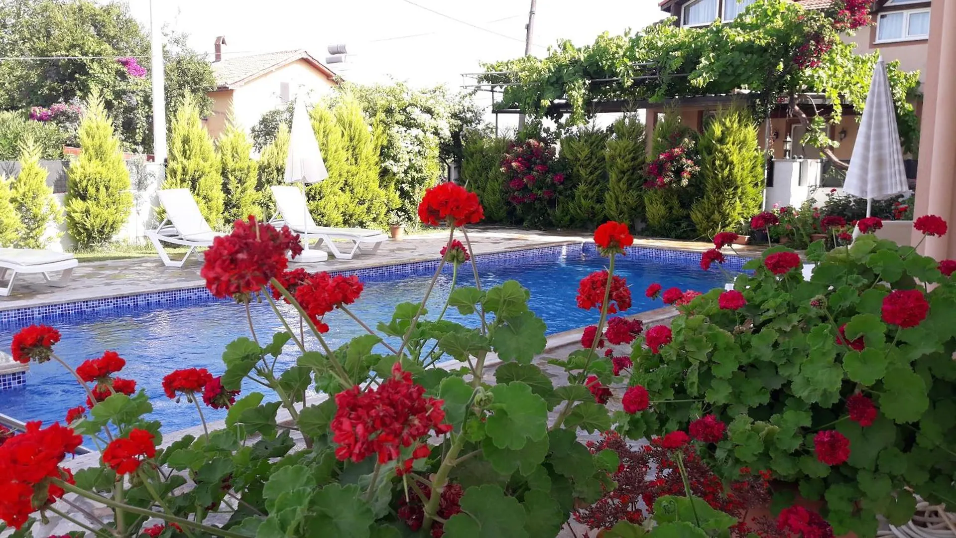 Villa Ebrar Dalyan Mugla