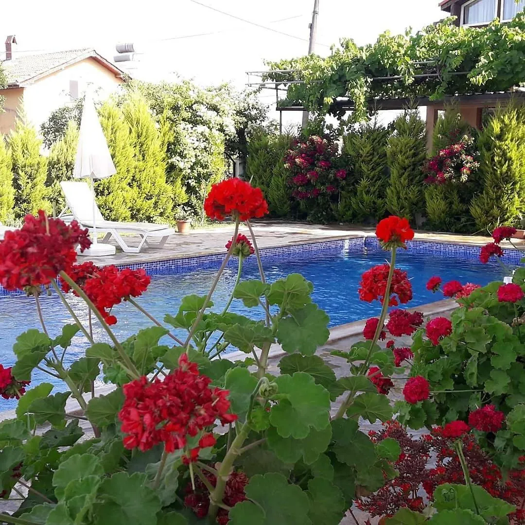 Villa Ebrar Dalyan Mugla