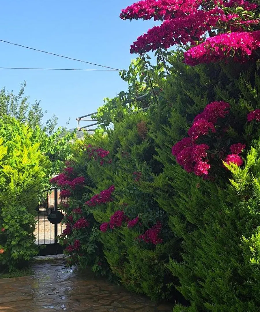 Villa Ebrar Dalyan Mugla